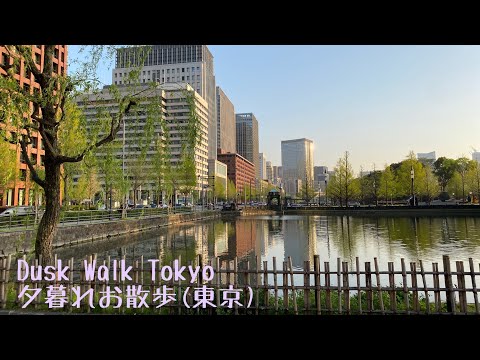 Dusk walk (Tokyo). 夕暮れお散歩 (東京)。