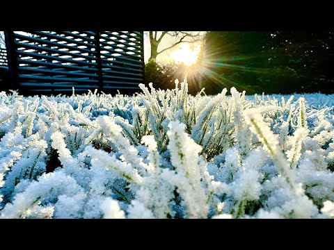 หนาว สวย ธรรมชาติสร้างสรรค์ น้ำค้างแข็ง อุณหภูมิ -10 ติดต่อกันทั้งอาทิตย์