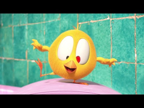 Chicky's bathroom | Where's Chicky?  | Cartoon Collection in English for Kids | New episodes HD