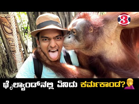 ಬೇಕಿತ್ತಾ ಇದು ನನಗೆ..! | Orangutan🤦‍♂️ | Thailand Kannada vlog | Dr Bro