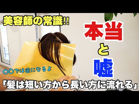 美容師の常識⁉「髪は短い方から長い方に流れる」の本当と噓