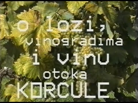 O lozi, vinogradima i vinu otoka Korčule