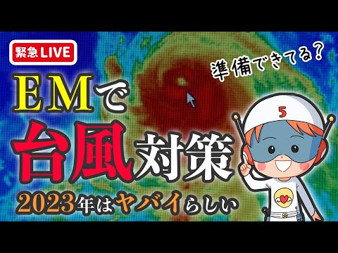 【緊急ライブ】EMを活用した台風対策　予言通り大型で変則的な動きの台風が来た💦