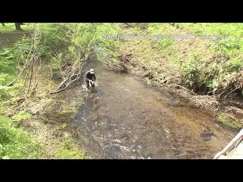 Sampling for water quality analysis