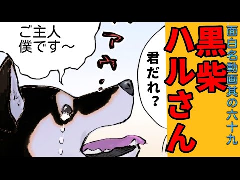 🌈ご登録者様一万人【特別企画✨】《いつもと違うハルさんをお楽しみください🐶》【世界の終わりに柴犬と】切り抜き編集 # 68  #世界の終わりに柴犬と  #アニメ #柴犬