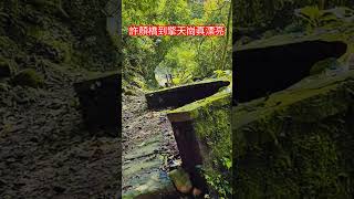 許顏橋到擎天崗真漂亮#遊客#陽明山#擎天崗#七星山#冷水坑#二子坪#新北市#小油坑#淡水#山友#銀髮族#親子遊#去哪玩#台北大縱走#景點#爬山#健行筆記#台北環騎#ubike#新年