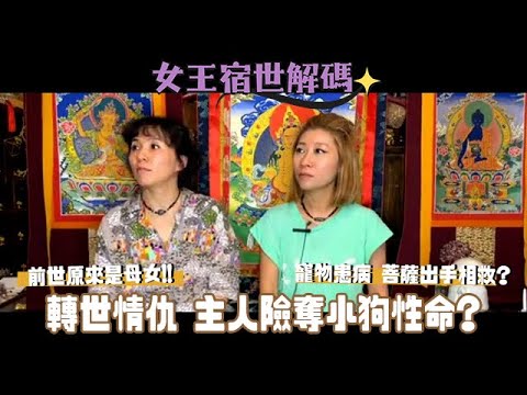 【#女王宿世解碼】小狗患病 主人險奪性命｜延續前世母女緣｜菩薩出手加持｜前世今生｜輪迴轉世｜靈氣女王 ManChan