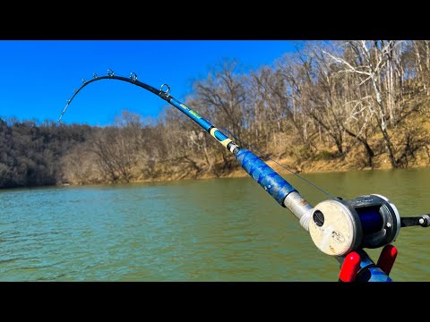 Anchor Fishing A Remote River For December Catfish! (catch & cook)