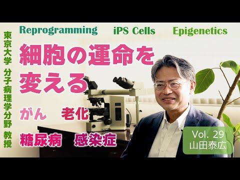 Innocent Curiosity:  Changing  the Destiny of Cells to Save Lives; Professor Yasuhiro Yamada, UTokyo