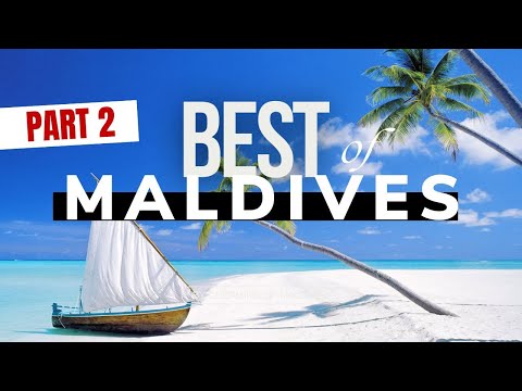 Maldives Dream Vacation 🌴 The Best of Maldives in 5 mns 🤩 Our Dreamy Moments !  [ BEST OF Part 2 ]