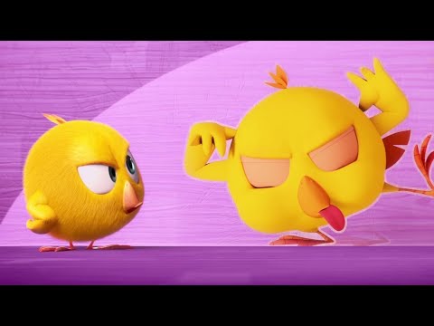 Fake Chicky's | Where's Chicky? | Cartoon Collection in English for Kids | New episodes HD