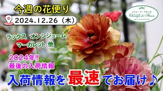 今週の花便り #113【2024.12.26】2024年 最後の入荷情報♪ ラナンキュラス（ラックス） オンシジューム マーガレット他【入荷情報を最速でお届け!!】