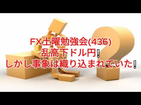 FX土曜勉強会(436)乱高下ドル円❕しかし事象は織り込まれていた❕