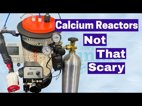 AQUARIUM CALCIUM REACTOR (REEF OCTOPUS OCTO 220) (Our Reef Tank Equipment Series) Part 3