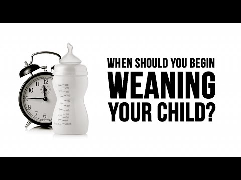 When Should you Wean your Baby?