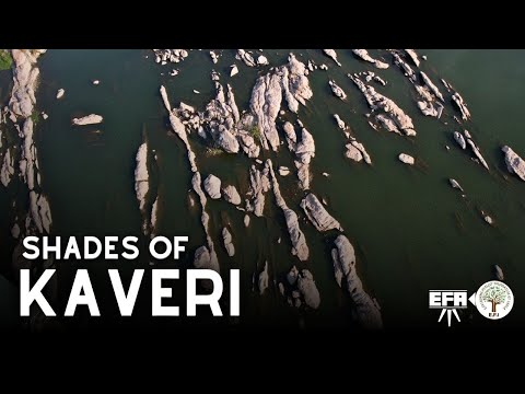 Shades of Kaveri | Bhavani | EFIxEFA