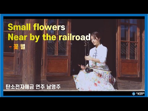 [탄소전자해금연주]Small flowers near by the railroad - 탄소전자해금 남영주