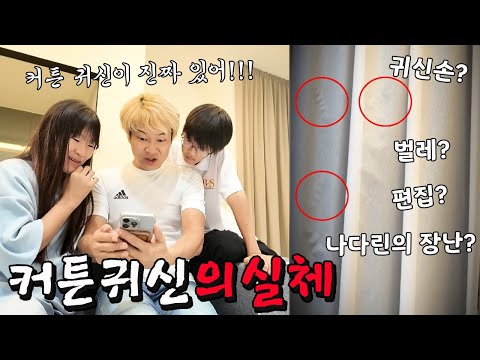 토깽이네 화제의 공포 쇼츠! 커튼 귀신 의문점을 하나씩 짚어 봤더니!!! ㅎㄷㄷ 미스테리 미스토리ㅣ토깽이네