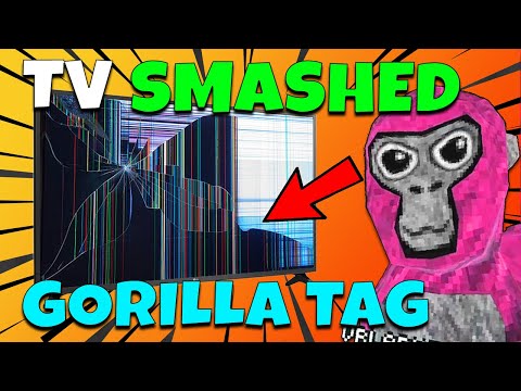 GORILLA TAG broke my TELEVSION... (Actual Footage)