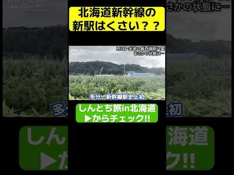 【衝撃】北海道新幹線の新駅に臭い疑惑!?【しんとち旅】