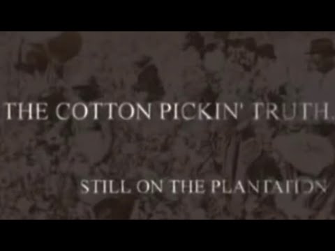 #Trailer The Cotton Picking Truth ; Still On The Plantation. #Reaction #History #BlackHistory #BLM