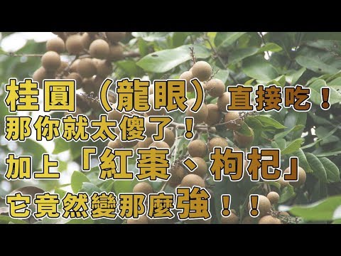 桂圓（龍眼）直接吃！那你就太傻了！加上「紅棗、枸杞」它竟然變那麼強！！