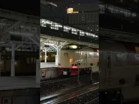 【岡山駅切り離し】寝台特急サンライズ瀬戸・出雲号　サンライズ瀬戸号出発 #shorts #鉄道 #電車 #寝台特急 #サンライズ瀬戸 #サンライズ出雲 #岡山 #寝台列車 #切り離し #japan