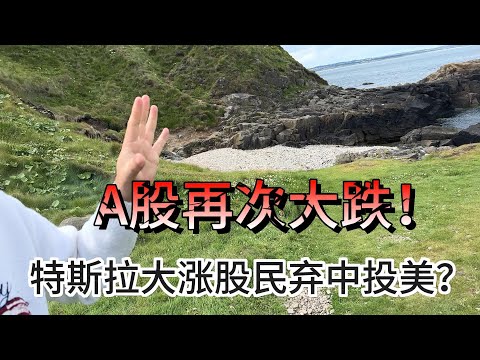 a股再次大跌，特斯拉大涨引发股民弃中投美？#价值投资 #美股投资​ #中国股市 #投资策略​ #美股​ #A股 #港股