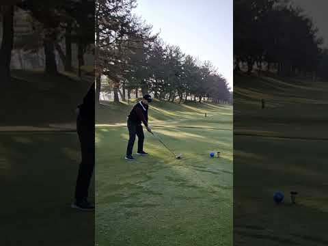 一番ホールはいつも緊張する #golf #golfshorts #ゴルフ #ゴルフラウンド動画 #golfswing