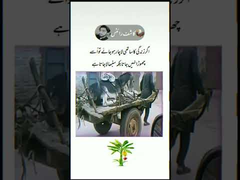 اگر زندگی کا ساتھی لاچار ہو جائے تو|| Shayari video || Urdu shayari | shayari status |KashifJaan302