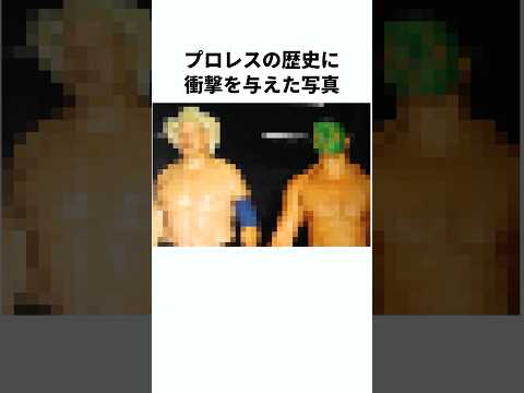 【衝撃】プロレス界に残る幻の写真　#プロレス #雑学 #shorts