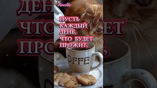 Доброго утра!!! Прекрасного дня! #доброеутро #хорошегодня #shortsvideo #длявас #rec