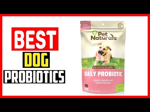 ✅Best Dog Probiotics in 2023