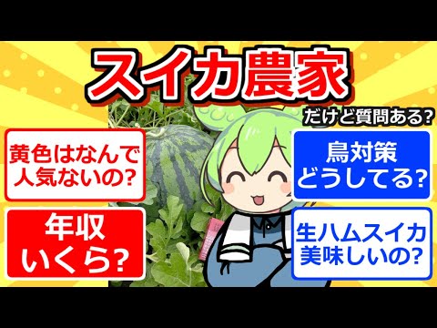 【2chまとめ】スイカ農家だけど質問ある？【ずんだもん】