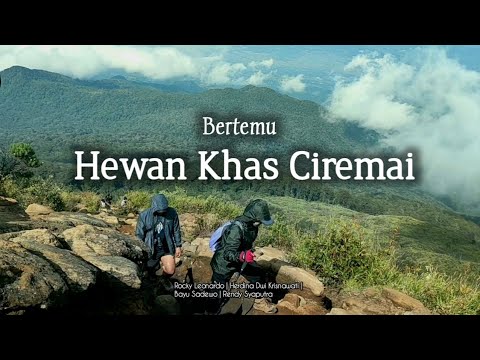 Full review / Total Biaya /Gunung Ciremai/ Via Palutungan