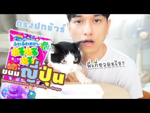 รีวิว ขนมญี่ปุ่น6..อ่ะ ตรงปกชัวร์!?