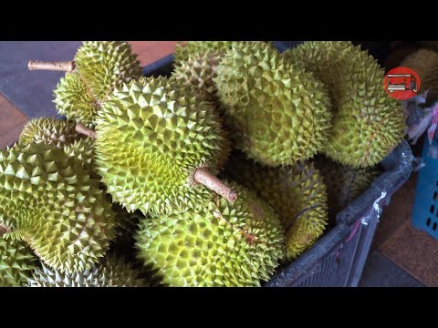 Durians from Malaysia - Buying Durian in a Flash