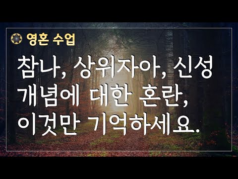 #92 참나, 상위자아, 신성 개념에 대한 혼란, 이것만 기억하세요 [영혼 수업]