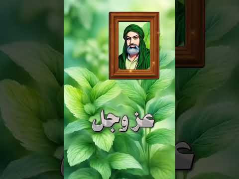 حكم واقوال الامام علي عليه السلام