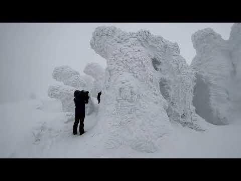 【青森】八甲田山纜車，八甲田山樹冰，八甲田山滑雪場 (日本東北景點)