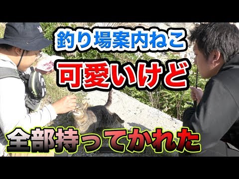 砂ずりで穴釣り！釣り場猫と行く初心者フィッシング！生イキくんやワーム・ブラクリとどう違う？釣り場への行き方、釣り方。