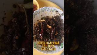 Kothimeera Pudina pachadi in Telugu Easy and simple way  @BhargaviKKitchen