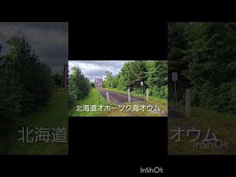 熊🐻北海道どこでもあり得るが、車中泊2024年7月20日(6)