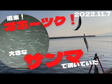 サンマ釣り！ピチピチがチョー気持ちいい！大群を目にしたらきっとハマります！