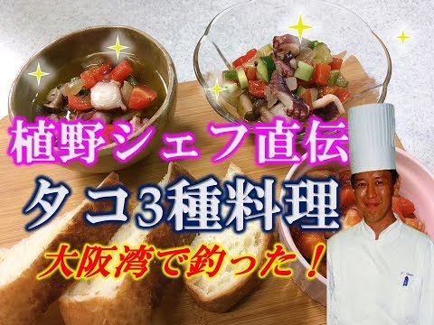 プロ直伝20分でおしゃれなタコ料理3品　大阪湾で釣ったタコを料理　Three types of octopus dishes by professionals　植野シェフ　Chef Ueno