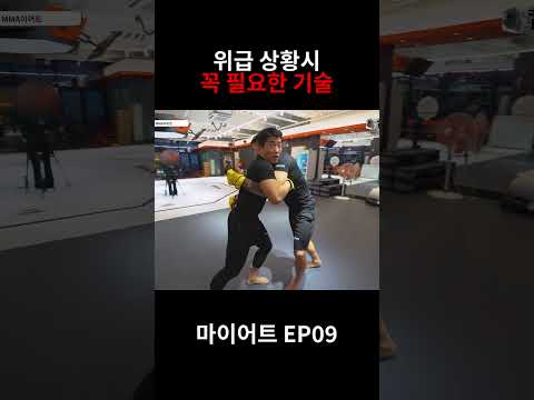 실전 싸움시 꼭 필요한 기술 #shorts #mma