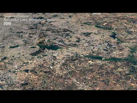 Bellundur Lake, Bengaluru, India - Earth Timelapse