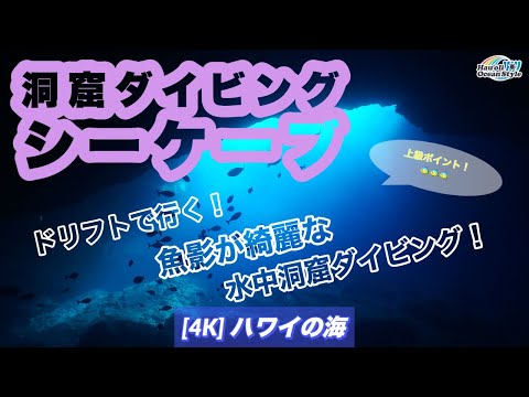 4K【ハワイ ドリフトダイビング】水中洞窟シーケーブ！ドリフトで潜るハワイカイダイビング！Sea Cave Hawaii Scuba Diving