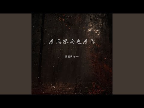 思风思雨也思你 (伴奏)