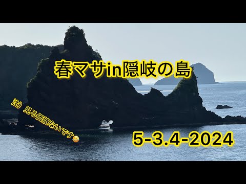 【ロックショア】春マサin隠岐の島